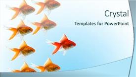  Presentation with famel leader - Audience pleasing presentation design consisting of goldfishes with leader on blue backdrop and a cool aqua colored foreground