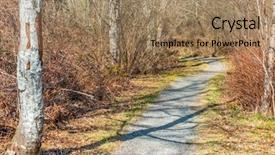  Presentation with erosion trail - PPT theme enhanced with fragment of maplewood park trail background and a coral colored foreground