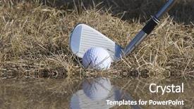  Presentation with hazard - Slide deck consisting of floral background in red yellow and green - illustration background and a gold colored foreground