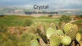  Presentation with arizona desert - Presentation theme with golf course located in arizona background and a light blue colored foreground