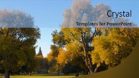  Presentation with course - Cool new presentation theme with elm trees on well cut backdrop and a light blue colored foreground