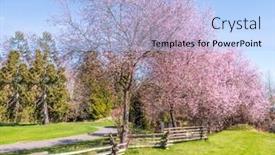  Presentation with pink green - Theme with golf-course-with-gorgeous-green background and a light blue colored foreground