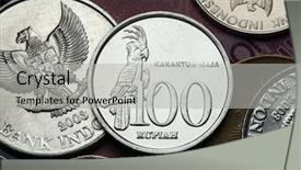  Presentation with indonesia - Amazing presentation theme having goliath - coins of indonesia palm cockatoo backdrop and a light gray colored foreground