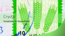  Presentation with bahrain - 