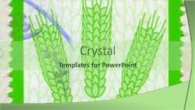  Presentation with bahrain - 