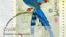  Presentation with taiwan china - Slide deck featuring gomel-belarus-27-october-2017 background and a soft green colored foreground