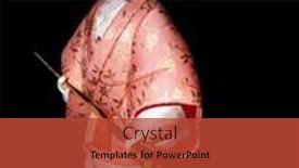  Presentation with traditional japan - Slide set consisting of gomel-belarus-may-24-2015 background and a red colored foreground