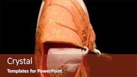  Presentation with traditional japan - Presentation theme consisting of gomel-belarus-may-24-2015 background and a tawny brown colored foreground