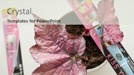  Presentation with pharmaceuticals - PPT layouts featuring gomel-belarus-may-30-2018 background and a sky blue colored foreground