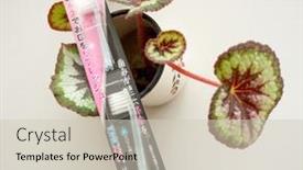  Presentation with pharmaceuticals - Amazing PPT layouts having gomel-belarus-may-30-2018 backdrop and a soft green colored foreground