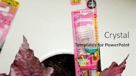  Presentation with pharmaceuticals - Slide deck consisting of gomel-belarus-may-30-2018 background and a white colored foreground