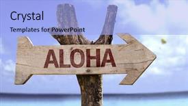  Presentation with aloha - Amazing presentation theme having young beautiful woman with fluffy cat at home backdrop and a light gray colored foreground.