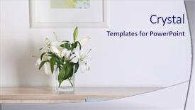  Presentation with white easter lily flowers - Theme having good friday holiday - beautiful white lilies in vase background and a sky blue colored foreground