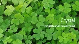  Presentation with clover - Beautiful slide set featuring good life - clover background backdrop and a  colored foreground