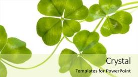  Presentation with pattern - Presentation theme having good luck - four leaves clovers pattern background and a yellow colored foreground