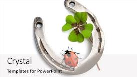  Presentation with clover - Presentation with good luck - horseshoes clover with four leaf background and a light gray colored foreground