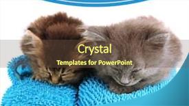  Presentation with white house - Presentation theme having good night - small kittens sits on house background and a  colored foreground