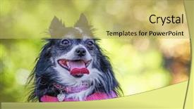  Presentation with summer sun - Colorful presentation enhanced with  backdrop and a  colored foreground