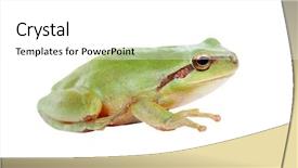  Presentation with white green - Beautiful presentation theme featuring googlies - green frog with bulging eyes backdrop and a white colored foreground