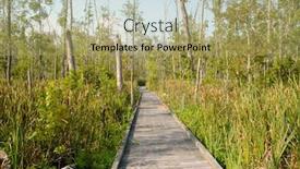 Presentation with swamp - Audience pleasing PPT layouts consisting of pamlico sound - goose creek state park boardwalk backdrop and a mint green colored foreground