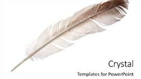  Presentation with feather - Cool new presentation theme with goose feather isolated on white backdrop and a white colored foreground