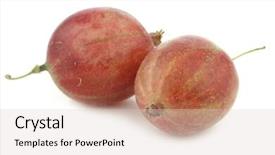  Presentation with white figure graphics - Presentation design with gooseberries ribes uva-crispa on a white background background and a lemonade colored foreground