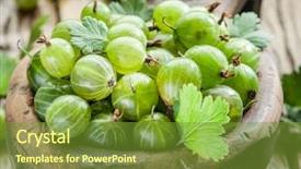  Presentation with old wooden table food - PPT theme enhanced with gooseberry - gooseberries in the wooden bowl background and a  colored foreground