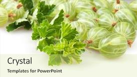  Presentation with monarch butterfly isolated on white - Cool new slides with gooseberry - gooseberries isolated on white backdrop and a yellow colored foreground