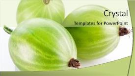  Presentation with gooseberry - PPT theme with gooseberry - gooseberries on white background background and a soft green colored foreground