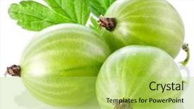  Presentation with gooseberry - Theme with gooseberry - gooseberries with leaves on white background and a yellow colored foreground