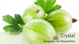  Presentation with gooseberry - PPT theme featuring gooseberry - gooseberries with leaves on white background and a yellow colored foreground