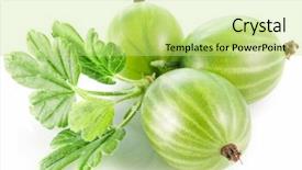  Presentation with gooseberry - PPT layouts with gooseberry - gooseberries with leaves on white background and a yellow colored foreground