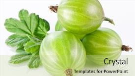  Presentation with gooseberry - PPT theme with gooseberry - gooseberries with leaves on white background and a  colored foreground