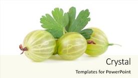  Presentation with gooseberry - Presentation theme having gooseberry - green ripe gooseberries isolated background and a blonde colored foreground