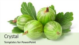 Presentation with gooseberry - Slides featuring gooseberry among green leaves background and a yellow colored foreground