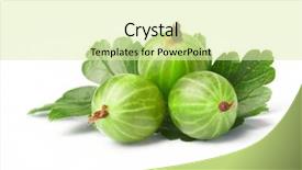  Presentation with gooseberry - Theme featuring gooseberry among green leaves background and a soft green colored foreground