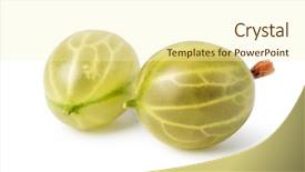  Presentation with gooseberry - Slide deck consisting of gooseberry isolated on white background background and a  colored foreground