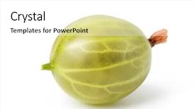  Presentation with gooseberry - Cool new theme with gooseberry isolated on white background backdrop and a  colored foreground