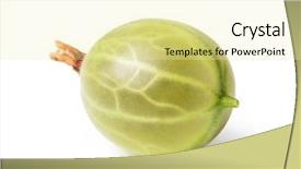  Presentation with gooseberry - PPT layouts enhanced with gooseberry isolated on white background background and a  colored foreground