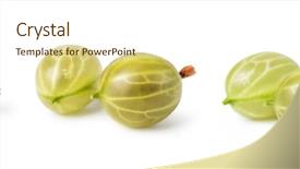  Presentation with gooseberry - Colorful slides enhanced with gooseberry isolated on white background backdrop and a cream colored foreground
