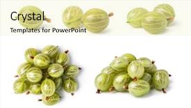  Presentation with gooseberry - Beautiful presentation featuring gooseberry isolated on white background backdrop and a blonde colored foreground