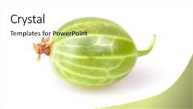  Presentation with gooseberry - Beautiful theme featuring gooseberry isolated on white backdrop and a white colored foreground