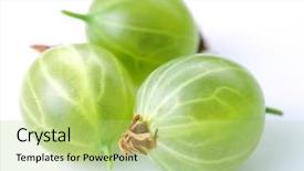  Presentation with gooseberry - PPT layouts with gooseberry object on a white background background and a mint green colored foreground