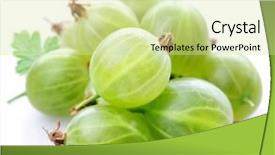  Presentation with gooseberry - Slides with gooseberry on a white background background and a  colored foreground