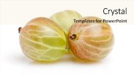  Presentation with gooseberry - Colorful theme enhanced with gooseberry on a white background backdrop and a lemonade colored foreground