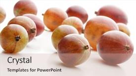  Presentation with gooseberry - Slide deck featuring gooseberry on white background - studio shot background and a coral colored foreground