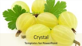  Presentation with gooseberry - PPT theme enhanced with gooseberry background and a yellow colored foreground