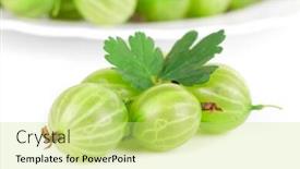  Presentation with gooseberry - Amazing theme having gooseberry backdrop and a yellow colored foreground