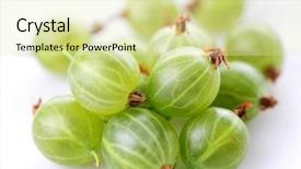  Presentation with gooseberry - Beautiful presentation theme featuring gooseberry backdrop and a soft green colored foreground