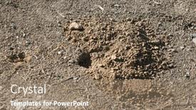  Presentation with live - PPT theme enhanced with gopher-hole-gopher-holes and a coral colored foreground